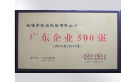 2017年廣東企業(yè)500強(qiáng)